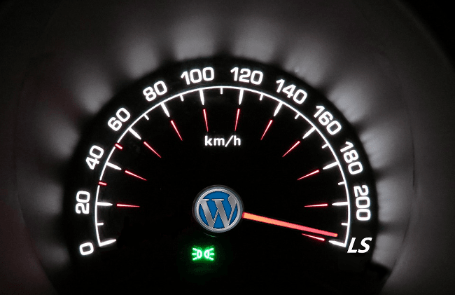 LSWS 5.0: LSCache’s ESI Support Will Speed Up Web Applications