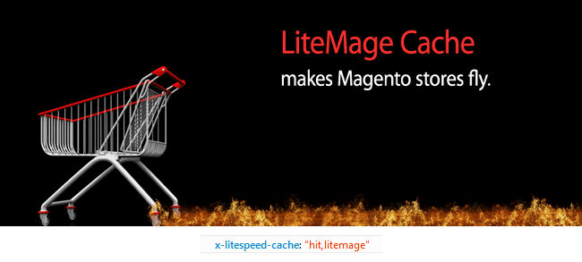 LiteMage – A Quick Look Forward