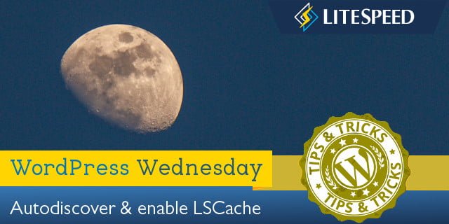 WpW: Autodiscovery, LSCache and the Command Line