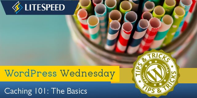 WordPress Wednesday: Caching 101