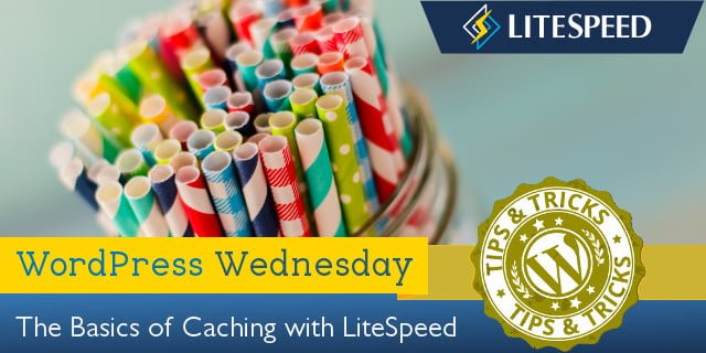 WpW: LiteSpeed Caching 101