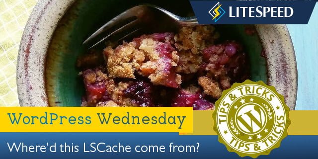 WordPress Wednesday: What is LiteSpeed Cache and How Did it Get Here?