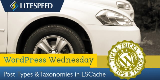 WpW: LiteSpeed Cache, Post Types and Taxonomies
