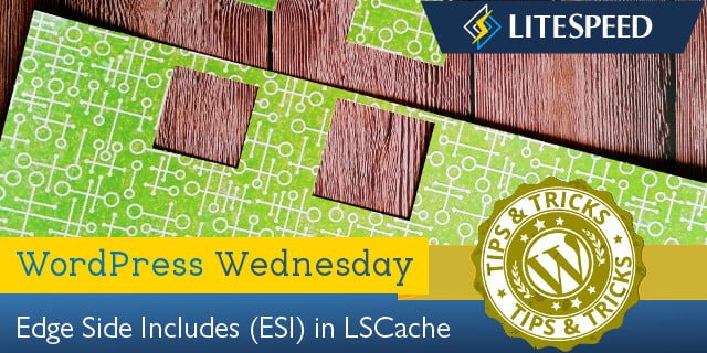 WpW: ESI and LiteSpeed Cache