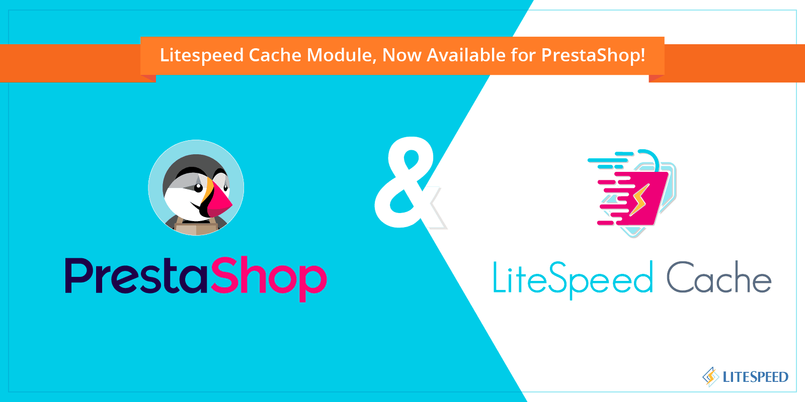 LiteSpeed Cache Module, Now Available for PrestaShop!