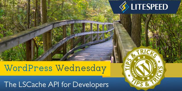 WpW: LSCache and your plugin – perfect together