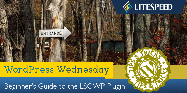 Beginner's Guide to LiteSpeed Cache for WordPress
