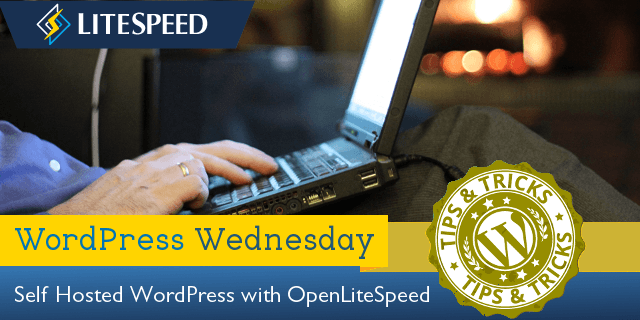 WpW: Installing OpenLiteSpeed, WordPress, and LSCache