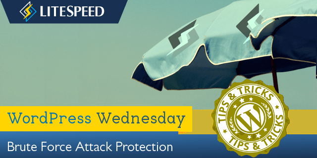 WpW: Brute Force Attack Protection