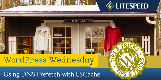 WpW: DNS Prefetch with LiteSpeed Cache