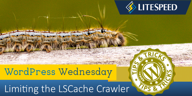 WpW: Limiting the LSCache Crawler