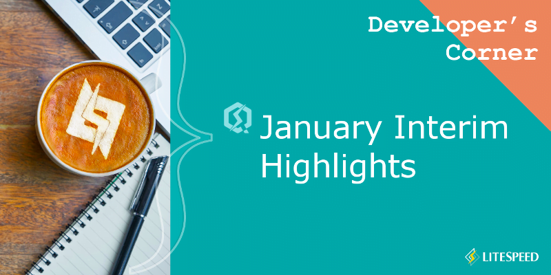 Developer’s Corner: January Interim Highlights