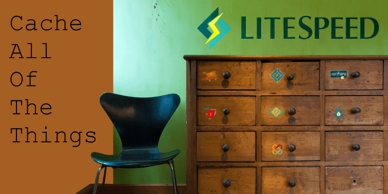 Cache all of the Things with LiteSpeed