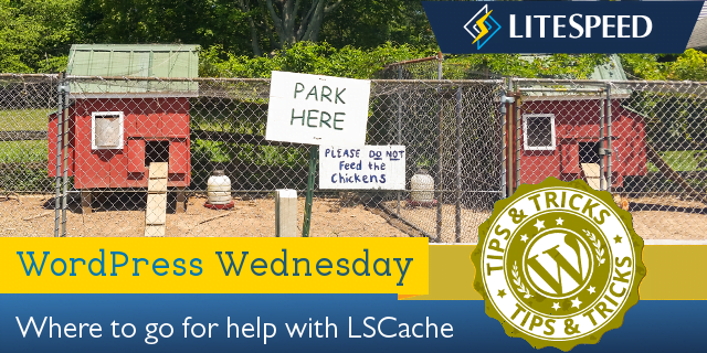 WpW: Where to Go for LiteSpeed Cache Help