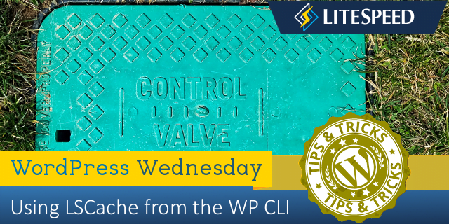 Using LSCache with the WordPress CLI