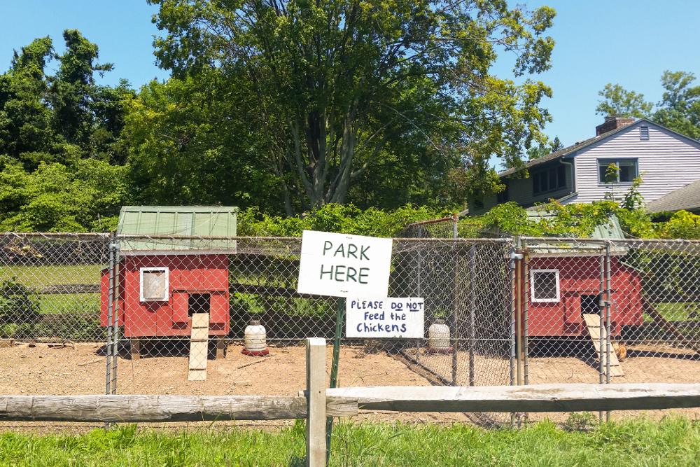 Where to go for LiteSpeed Cache Help: Park Here sign