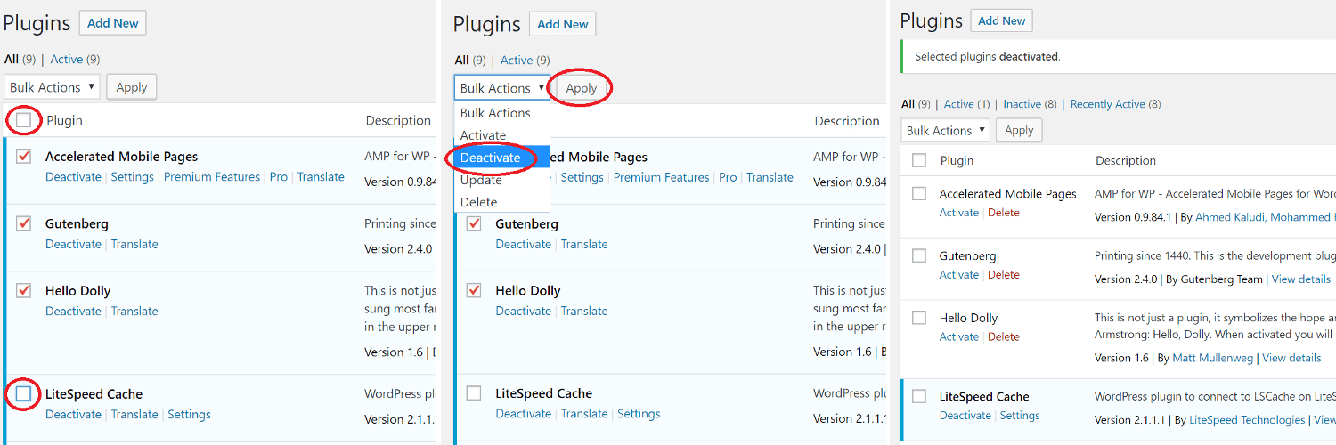 Is My Plugin Compatible With LiteSpeed Cache for WordPress? Deactivate all plugins except LSCache