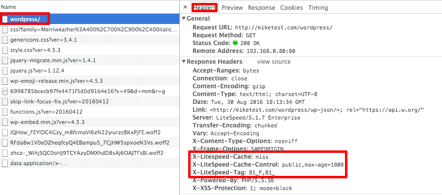 Is My Plugin Compatible With LiteSpeed Cache for WordPress? Verify LSCache is working