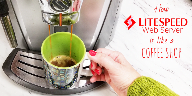 How LiteSpeed Web Server is Like a Coffee Shop