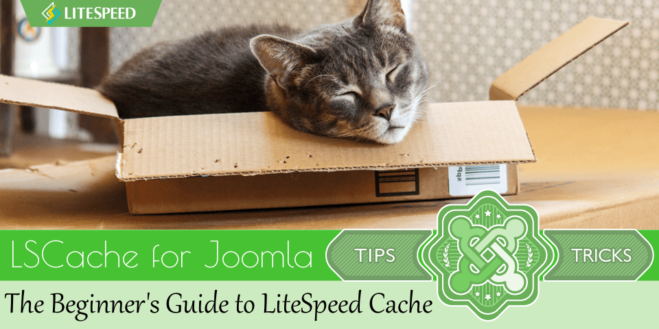 JT: The Beginner’s Guide to LSCache for Joomla