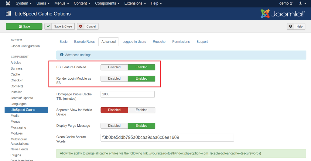 Using ESI in Joomla: Advanced configuration screen