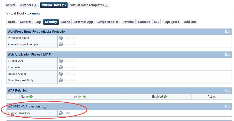 reCAPTCHA Server-Wide Protection: LiteSpeed Native Trigger Sensitivity