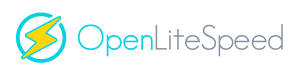 Use OpenLiteSpeed for WordPress