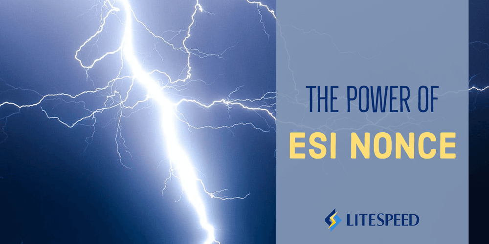 The Power of ESI Nonce